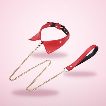 Pointed Collar & Gold Chain Lead Set