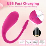 Original catalogue image: Charging reference Supplier USB charging artwork showing the pink vibrator and its connection