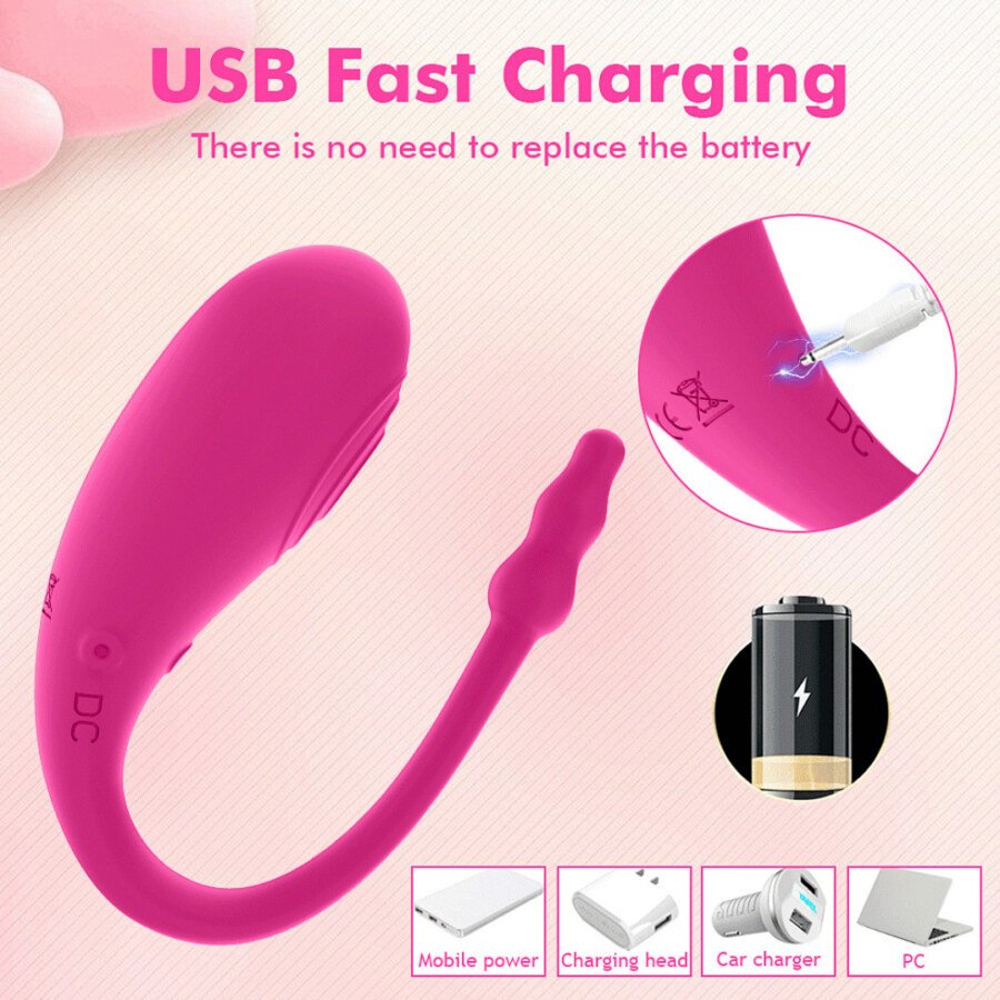 Original catalogue image: Charging reference Supplier USB charging artwork showing the pink vibrator and its connection