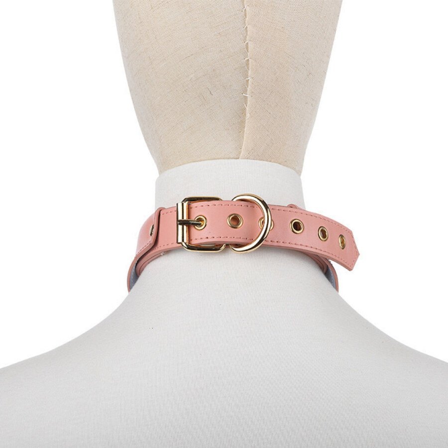 Pink pointed collar back view showing buckle and sizing holes