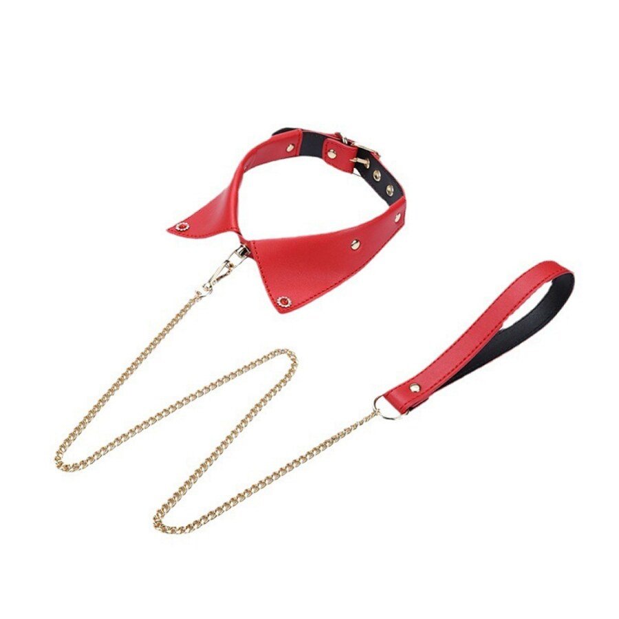 Pointed Collar & Gold Chain Lead Set