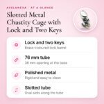 Slotted Metal Chastity Cage with Lock and Two Keys β 76 mm β key features at a glance