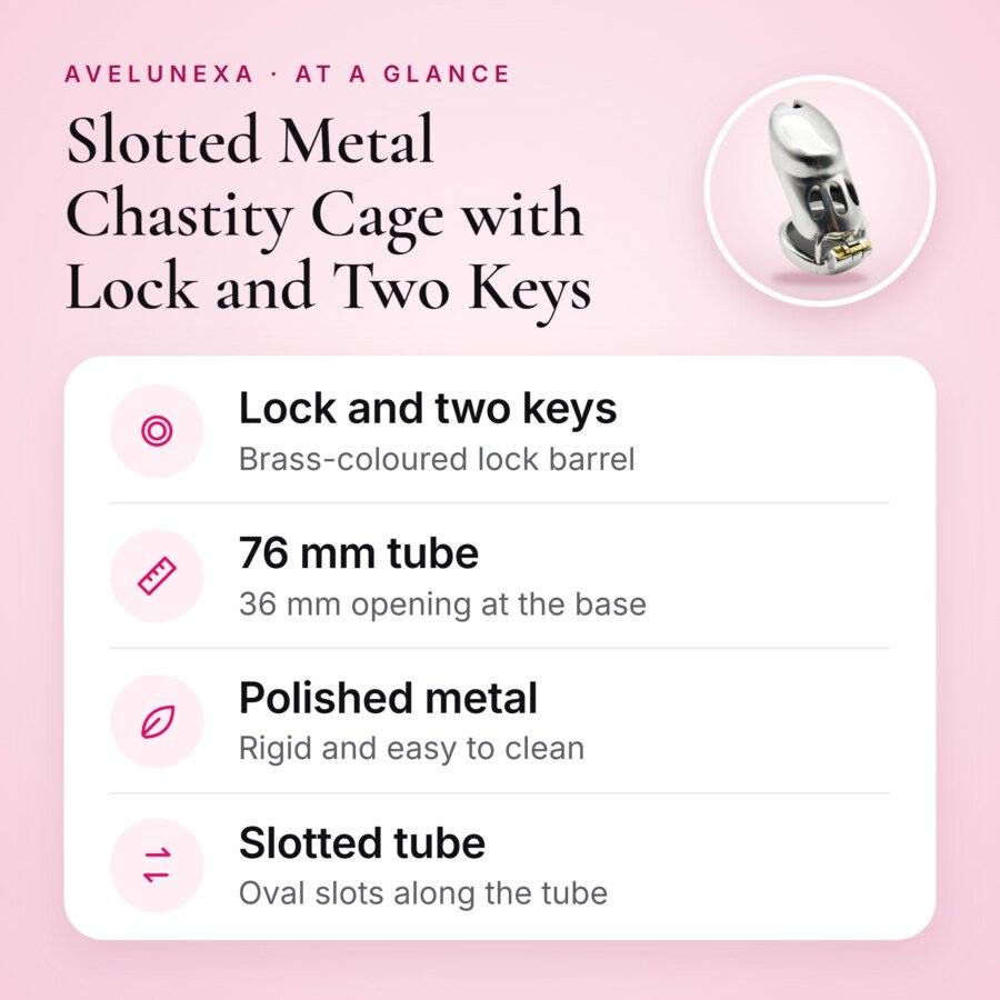 Slotted Metal Chastity Cage with Lock and Two Keys β 76 mm β key features at a glance