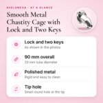 Smooth Metal Chastity Cage with Lock and Two Keys – 90 mm – key features at a glance